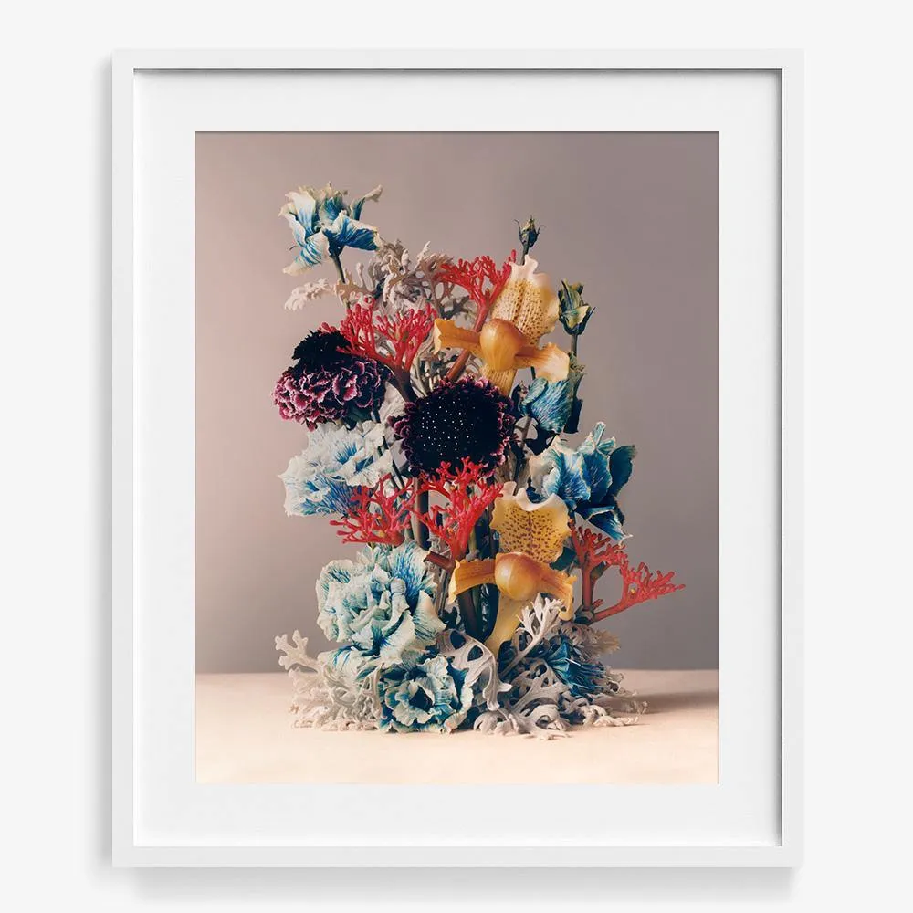 Coral 1
