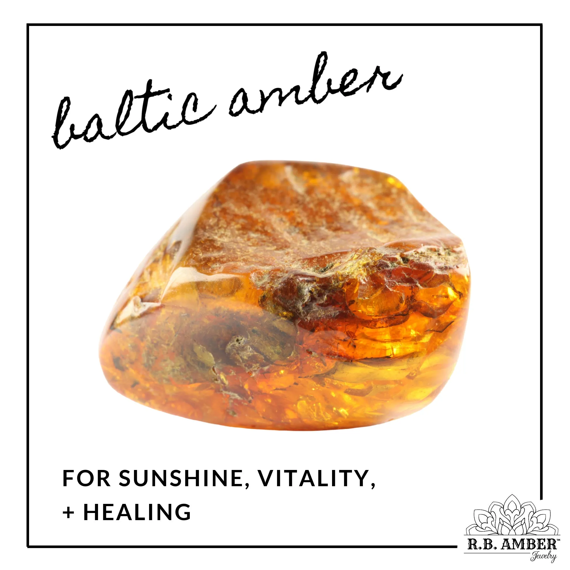 Honey Baltic Amber Stud Earrings